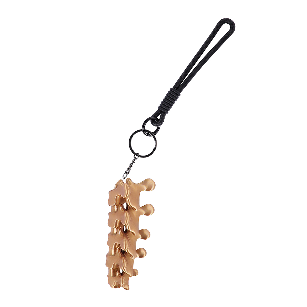 พวงกุญแจจี้รูปทรงกระดูกสันหลัง - Women'S Key Accessories บทวิจารณ์และราคา