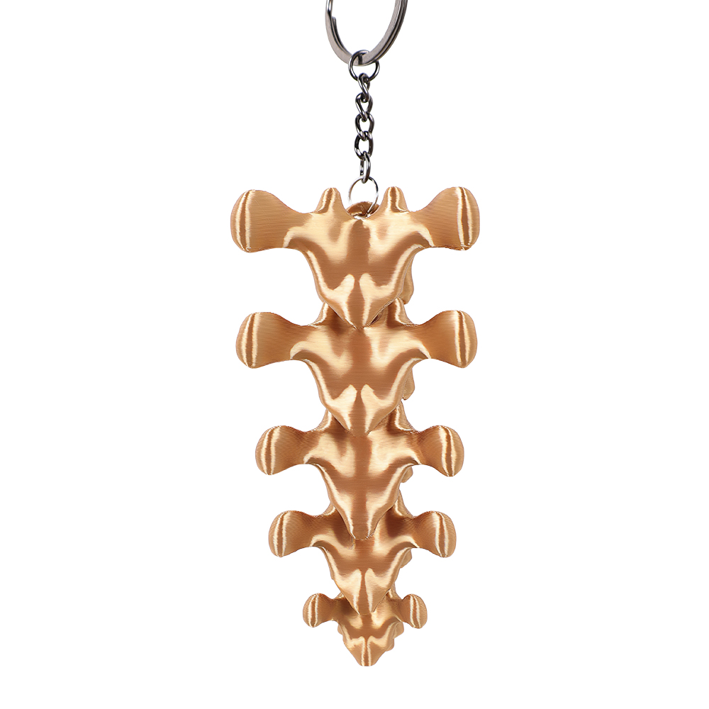 พวงกุญแจจี้รูปทรงกระดูกสันหลัง - Women'S Key Accessories บทวิจารณ์และราคา