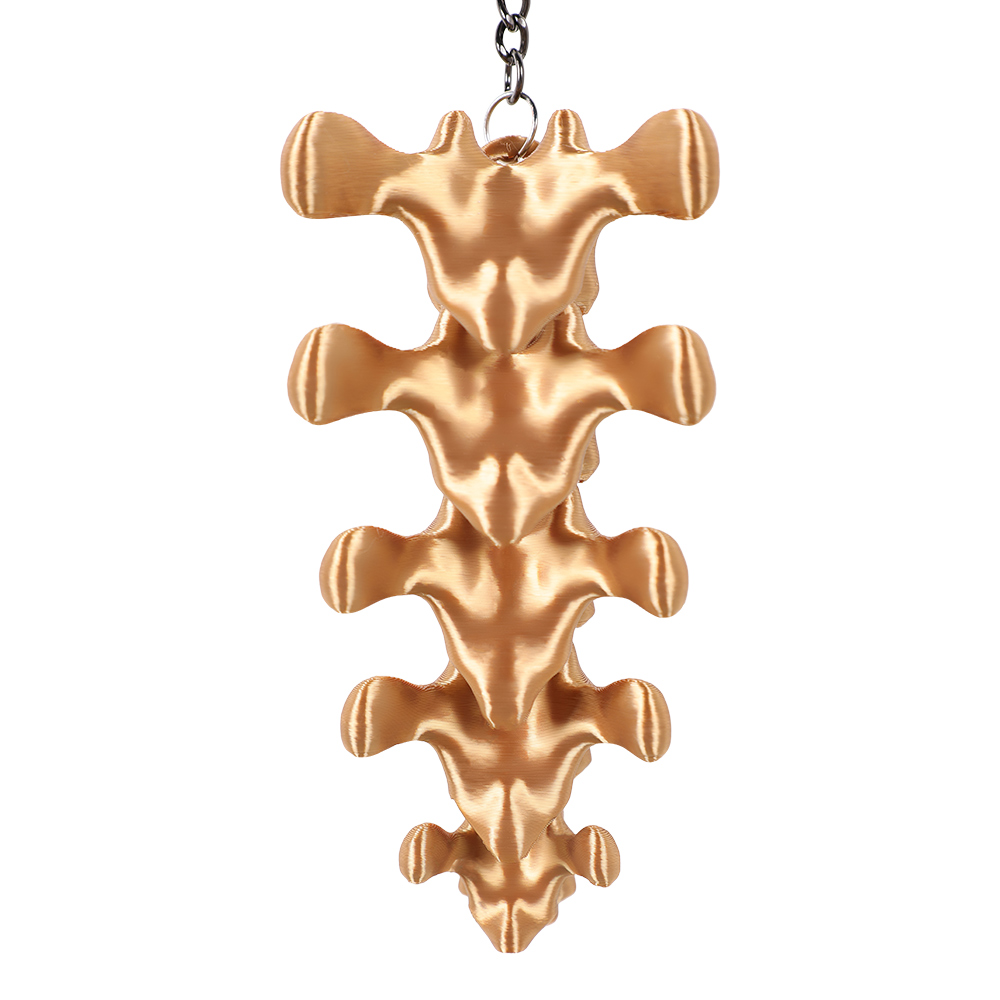 พวงกุญแจจี้รูปทรงกระดูกสันหลัง - Women'S Key Accessories บทวิจารณ์และราคา